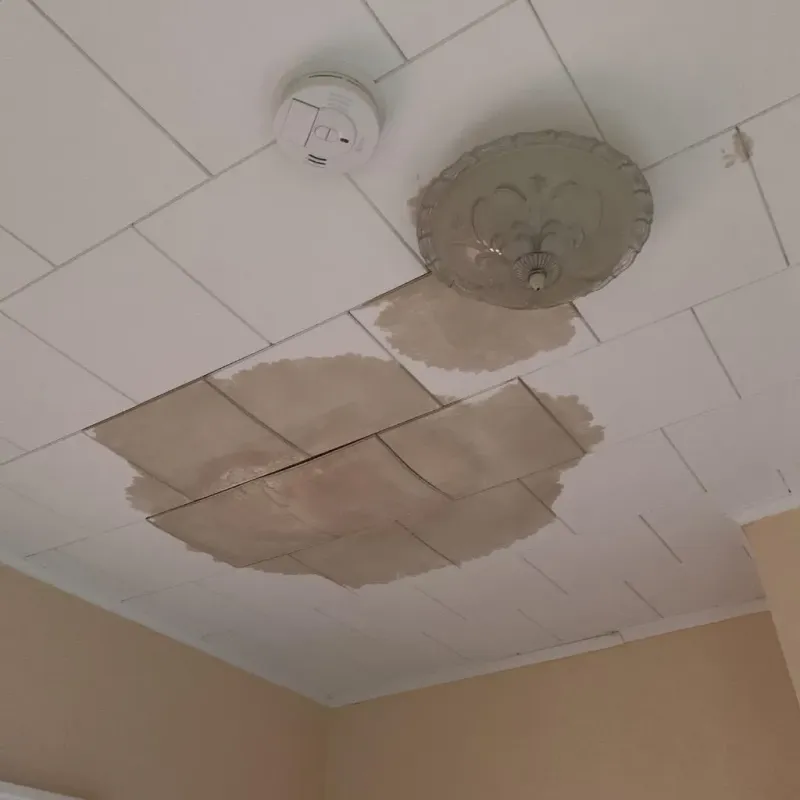 Ceiling Water Damage Repair in Broadview Heights, OH